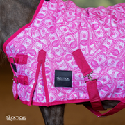 MOMMY'S MONEY MINI/FOAL TURNOUT SHEET